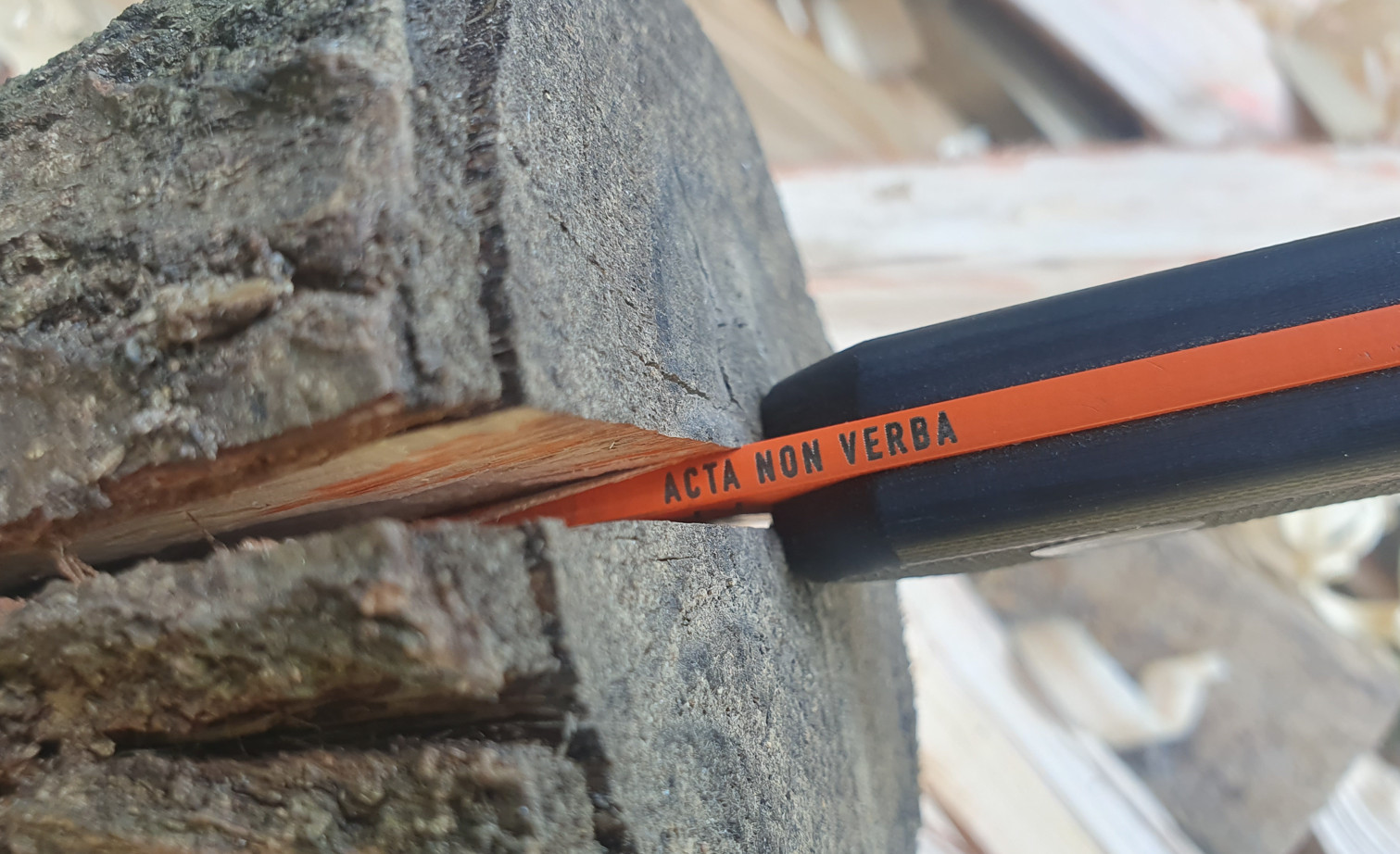 acta non verba anv p200 test